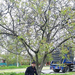 �����, ���������, 40 ���