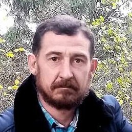 ���, �������, 48 ���