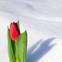 ���� Suiu, ������� - ��������� 22 ������� 2023 � ������ ���� ����������