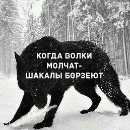 Lyosho, ����, 35 ���