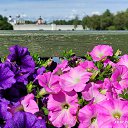 ���� �����, ������, 49 ��� - ��������� 20 ���� 2023 � ������ ��. ������ (������������� �������)�