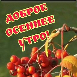 ������, �����, 50 ���