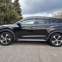 Goga, �������, 45 ���