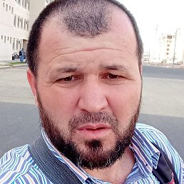 ����, ������, 41 ���