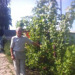 ����, �������, 68 ���