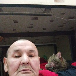 ���� ���� (�����), ������, 68 ��� - ��������� 3 ����� 2023