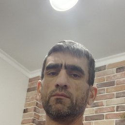 ���� Sharaf, �����, 49 ��� - ��������� 26 ������� 2023