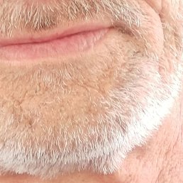 ������, ��������, 62 ����