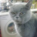 ���� Witalij, ������, 56 ��� - ��������� 6 ������� 2023 � ������ ���� ����������