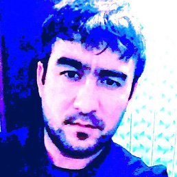 ��������, �������, 38 ���