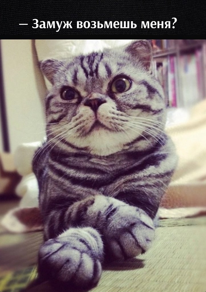       - 15  2023  17:31 - 2