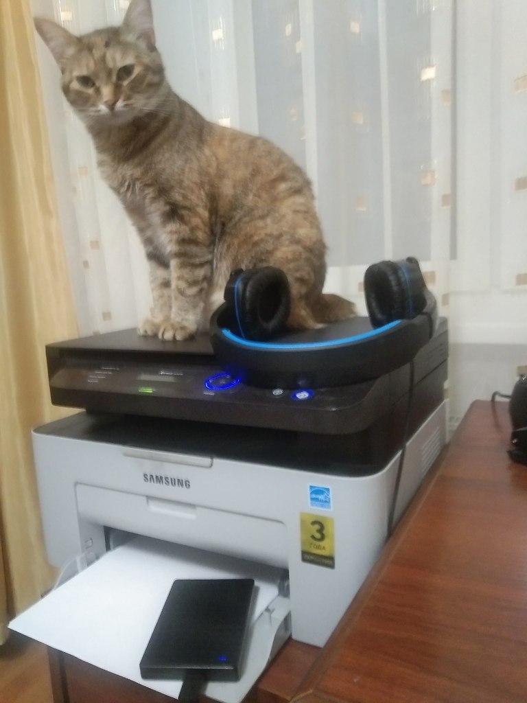     ,      ,  : ... - 2