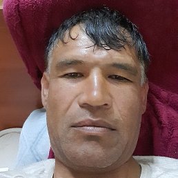 ������, ������, 49 ���