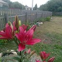 ���� ���������, �������, 59 ��� - ��������� 28 ���� 2023