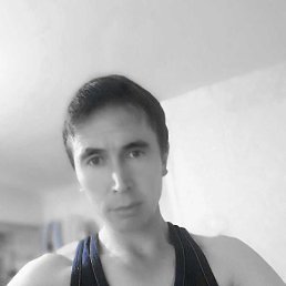 �����, ������, 38 ���