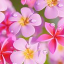 ���� ����, �������������, 75 ��� - ��������� 24 ���� 2023