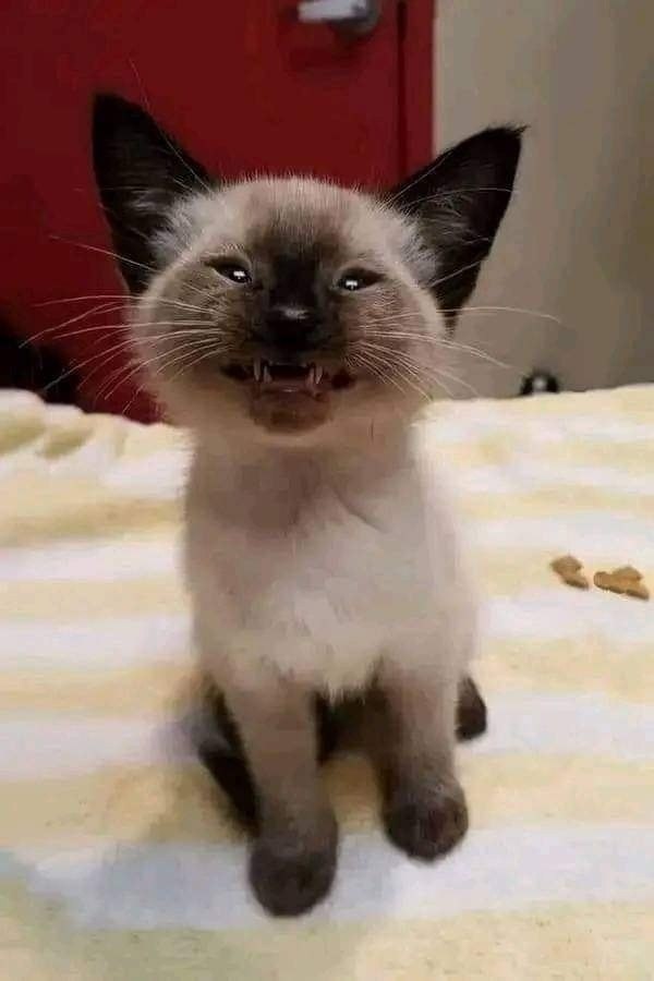,          !...