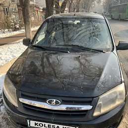 �����, ������, 43 ����