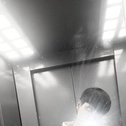, , 24 