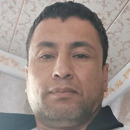 ��������, �����, 46 ���