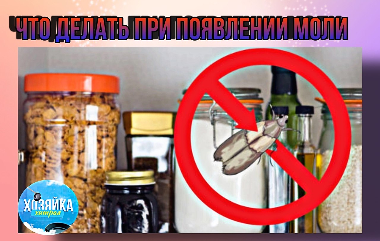Во-первых, важно устранить причину появления пищевой моли. Часто это открытая упаковка с едой. Они ...