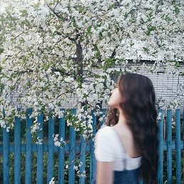 �������, ������, 22 ����