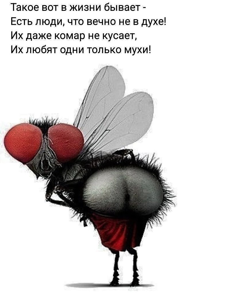 " ") - 14  2023  11:03