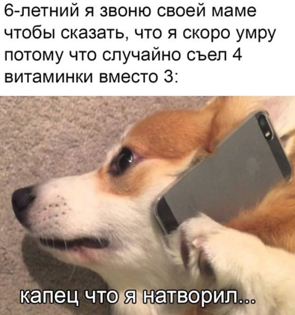    - 21  2023  08:34