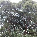 ���� ����������, �����������, 38 ��� - ��������� 12 ������� 2023 � ������ ���� ����������