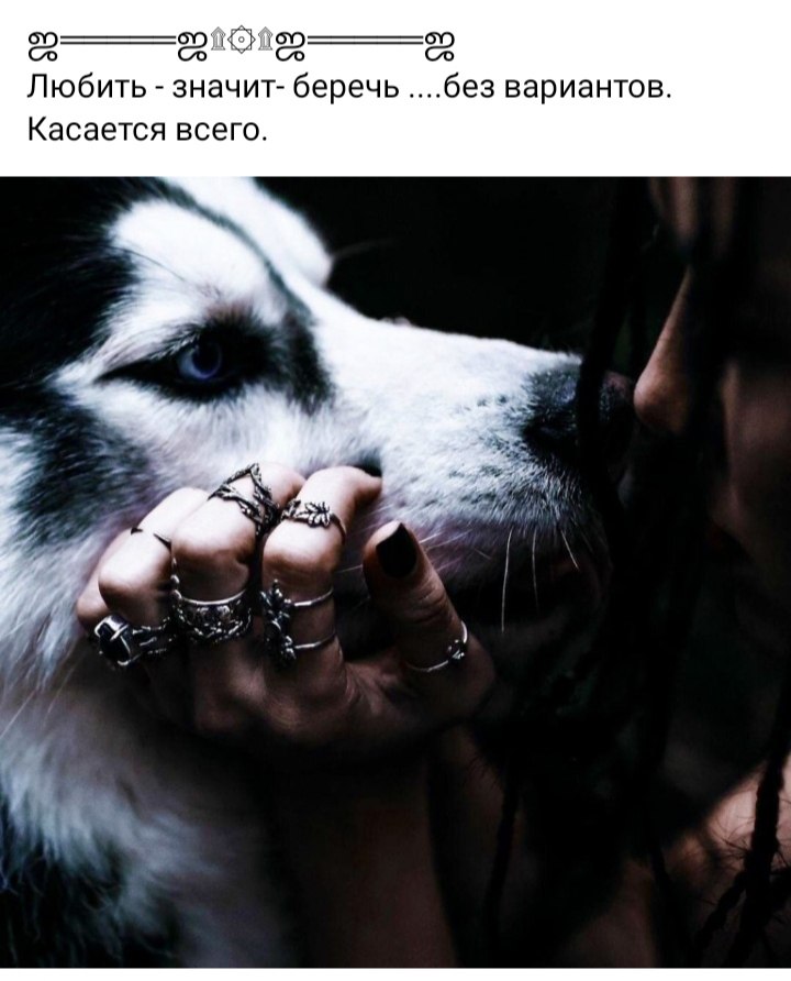 ***Victoria Viktorovna*** - 10  2023  06:01