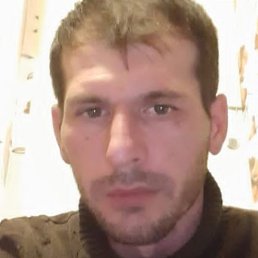 �����, ������, 41 ���