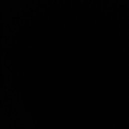 Abror, �����, 37 ���