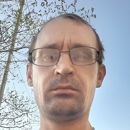 ��������, ������, 38 ���