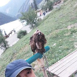 ���, ������, 54 ����