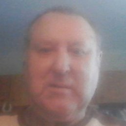 ��������, ������������, 81 ���