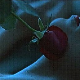 �����, �����������, 39 ���