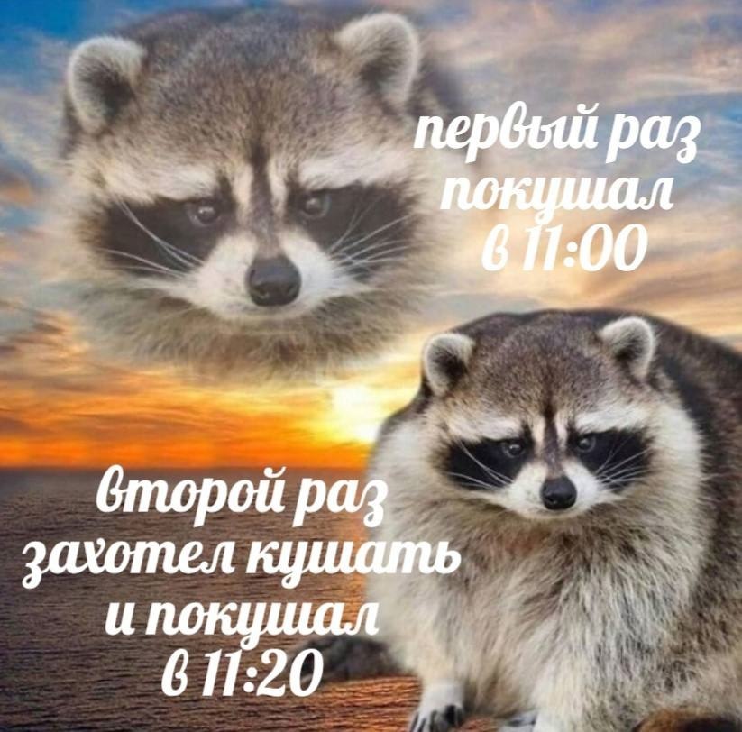    - 9  2023  20:25