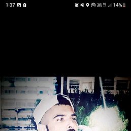 Dani, �����, 30 ���