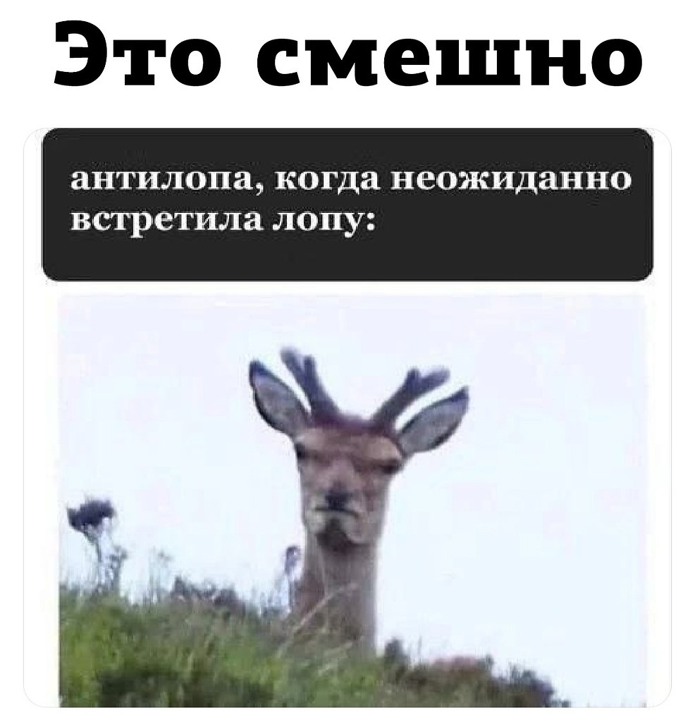 JPG - 3  2023  19:45