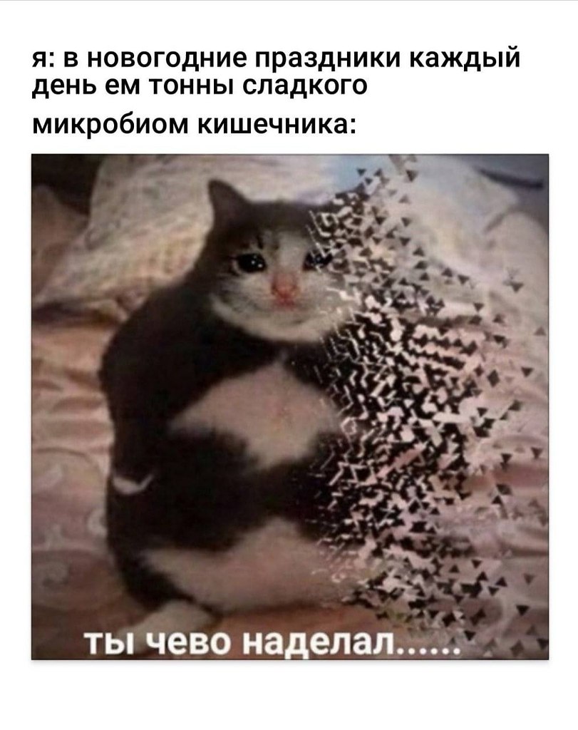    - 20  2023  21:25