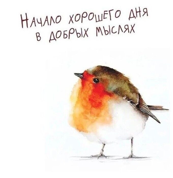 ---------------------------------------------