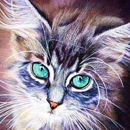 �����, ����, 45 ���