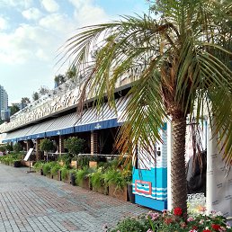 ���� ������, ������, 43 ���� - ��������� 3 ������� 2023