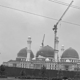 �������, ������, 26 ���