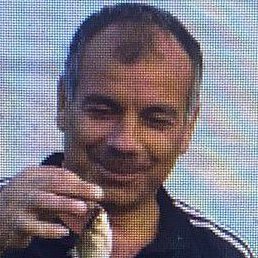 ���������, �������, 51 ���