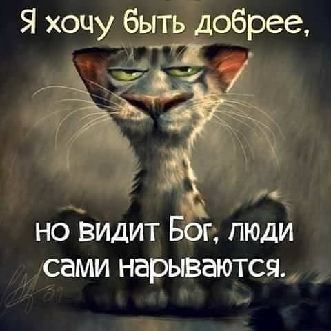  - 22  2023  19:23