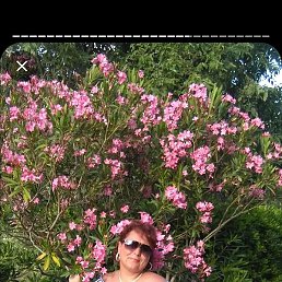 Hatali, ������, 48 ���