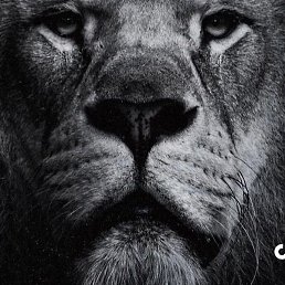 ����, ���������, 32 ����