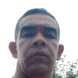 ������, �����������, 46 ���