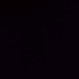 �����, �����-���������, 24 ����